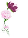Floral white background with magnolias and pink peony with butterfly.