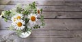 Floral wood background. Banner with a bouquet of daisies in a vase and place for text. Beautiful wildflowers sunny flowers on a Royalty Free Stock Photo