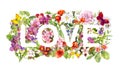 Floral word Love flowers, grass, herb . Watercolor text