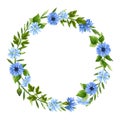 Floral wreath with blue flowers and green leaves. Vector card design Royalty Free Stock Photo