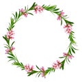 floral wreath of branches of flowering almonds with leaves, isolated