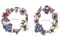 Floral Wreath of colored anemone, lavender, rosemary everlasting, phalaenopsis, lily, iris