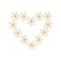 Floral wreath from daisies in the shape of heart on white background Royalty Free Stock Photo