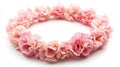 Floral Wreath of Delicate Pink Carnations Isolated on White Background in a Studio Lighting Royalty Free Stock Photo