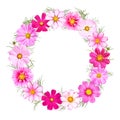 Floral wreath with different cosmos flowers