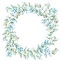 Floral wreath.Garland of a eucalyptus branches.Frame of a herbs