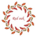 Floral wreath northern red oak Quercus rubra