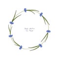 Floral wreath with stylized blue flowers of cornflowers and green leaves Royalty Free Stock Photo