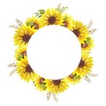 Floral Wreath with Sunflowers and Leaves. Watercolor sunflower wreath. White background. Watercolor floral. Botanical Drawing Royalty Free Stock Photo