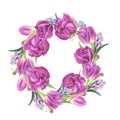 Floral wreath with tulips, freesia and hyacinths, watercolor painting. Royalty Free Stock Photo