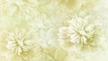 Floral yellow background. Peony flower petals. Close-up. Nature.