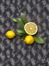 floral lemons leaves papercut duotone color palette.