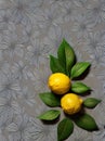 floral lemons leaves papercut duotone color palette.