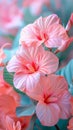 Florals and botanicals, leaves, nature soft colors freshness pastel tones elements plants, elegant beautiful cute