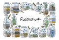 Florarium in bottle set with cactuses, succulents, leaves, branches, stones and seashells decoration on sand. Exotic