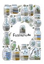 Florarium in bottle set with cactuses, succulents, leaves, branches, stones and seashells decoration on sand. Exotic