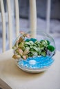 Florarium made of glass sphere with succulents and hypoestes of different varieties. Decorative composition for the home Royalty Free Stock Photo