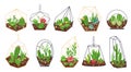 Florarium plants. Tropical cactus, flowers and succulents in geometric glass terrariums. Botanical interior decor. Mini