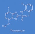 Florasulam herbicide molecule. Skeletal formula