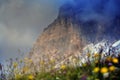 Floreal Explosion on Dolomites