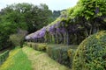 Florence, April 2021: The beautiful Bardini garden in Spring. Italy Royalty Free Stock Photo