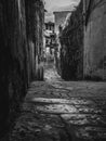 Florence - Beautiful classical and narrow street with vegetation in Florence, Italy. Royalty Free Stock Photo