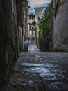 Florence - Beautiful classical and narrow street with vegetation in Florence, Italy. Royalty Free Stock Photo