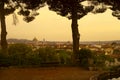 Florence city landscape