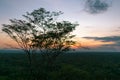 Florence falls: scenic lookout at sunset. Views of savannah. Big tree at foreground, forest and clouds at horizon. Blurry