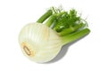 Florence fennel bulb on white Royalty Free Stock Photo