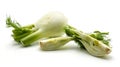 Florence fennel isolated Royalty Free Stock Photo