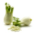 Florence fennel isolated