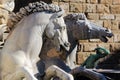 Florence Fountain of Neptune particular Royalty Free Stock Photo