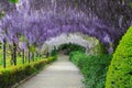 Florence - Giardino Bardini Boboli Royalty Free Stock Photo