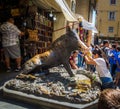 FLORENCE, ITALY - Jul 05, 2019: Fontana del Porcellino, a bronze boar rubbed by thousands of hands for luck