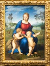 Madonna and Child with Young St John the Baptist - also named Madonna of the Goldfinch, 1506, by Raffaello Sanzio. Raphael - Royalty Free Stock Photo