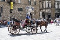 Typical florentine horse buggy call through the Plaza Signoria