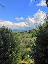 Florence Italy landscape spring green country travel trees