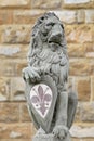 Stone Lion holding city`s main symbol at Piazza della Signoria in Florence, Italy.