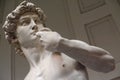 Michelangelo`s David masterpiece of the Renaissance