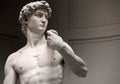 Michelangelo`s David at the Accademia Gallery