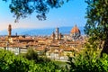 Florence, Italy: scenic view on famous italian town with Duomo at sunset with green leaves Royalty Free Stock Photo