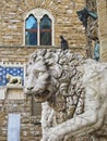 Florence: Lion at the Palazo Vecchio