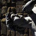 Florence - Piazza della Signoria Royalty Free Stock Photo