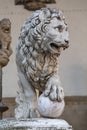 Florence. Piazza Della Signoria. Lion sculpture Royalty Free Stock Photo