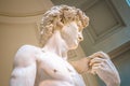 Head detail of Statue of David by Michelangelo Buonarroti Royalty Free Stock Photo