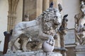 Florentine lion statue in Piazza della Signoria. Florence. Italy. Royalty Free Stock Photo