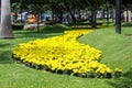 Flores amarillas en Kennedy park, turist