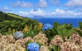 Flores, Azores - In the background the neighbor island Corvo