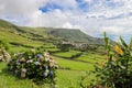 Flores, Azores - the green paradise in the Atlantic Ocean